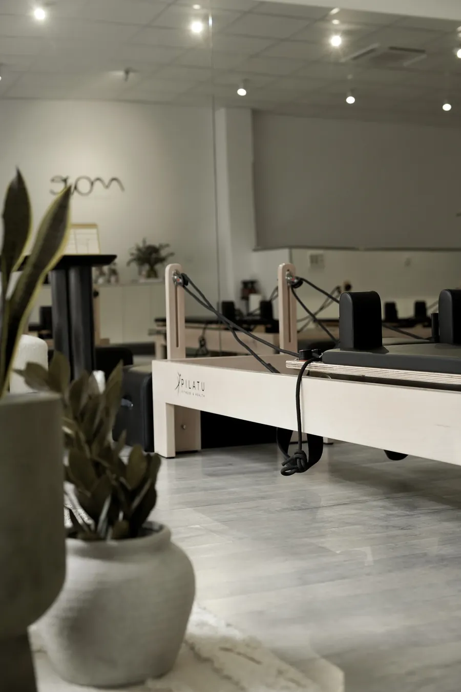 Sala de reformers de MOVE con una planta en primer plano